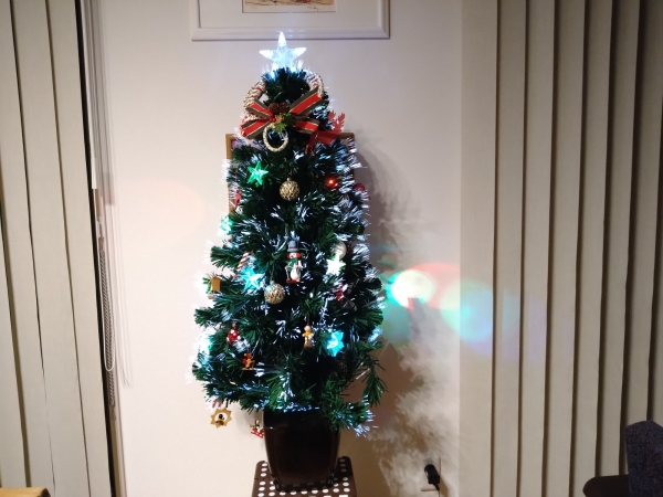 室内のツリーは東京インテリア製