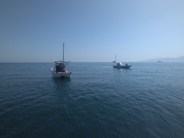 気温20℃春爛漫