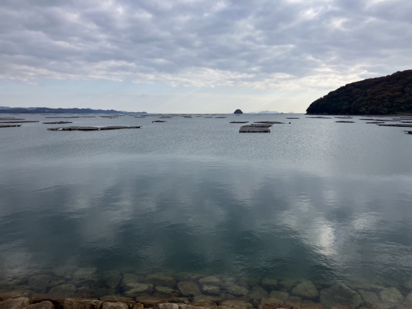 錦海湾は一大牡蠣の養殖場