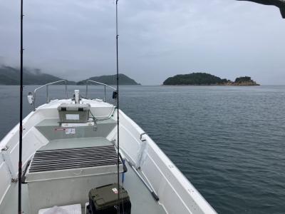 ポイントは妙見崎と大島周辺