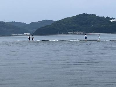 波が来るとこんな感じ