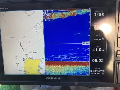 地蔵埼での魚影