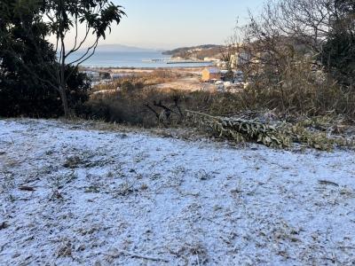 オリーブ園中腹道