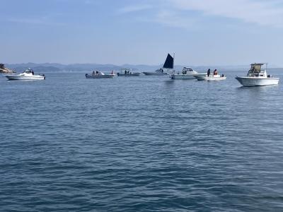 狭いポイントで犇めき合う