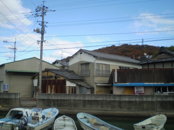猿はこの電線を伝い向こう岸に移動しました
