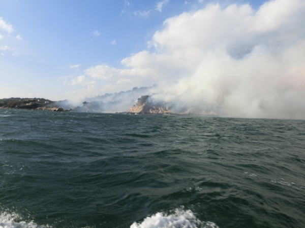 前島南岸、火は海際から山に這い上がっています