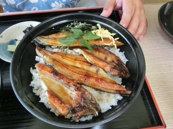 『四万十の天然ウナギ』２６００円、値段は格安でしたが…