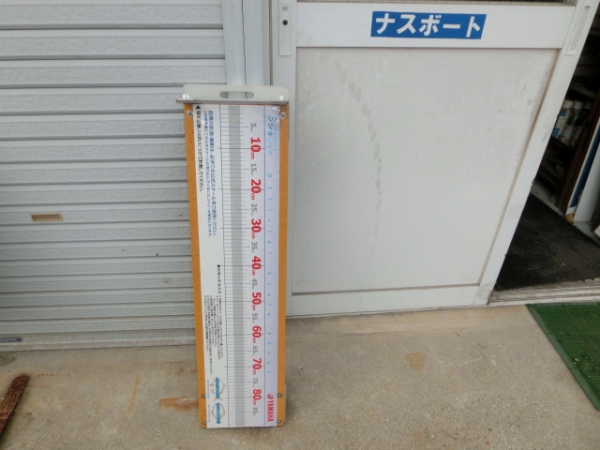 釣り大会用メジャー
