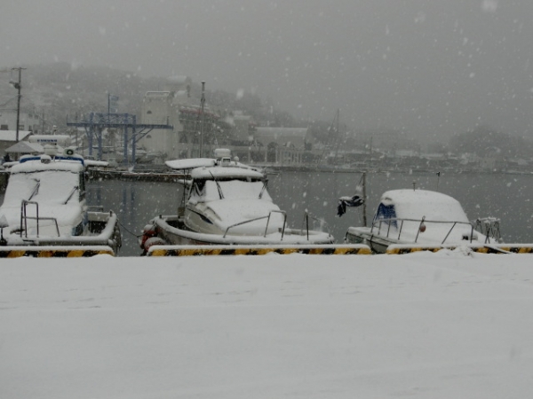 愛艇ＦＧ３５は雪帽子かぶりました