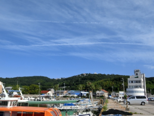 オリーブ園（北）方向
