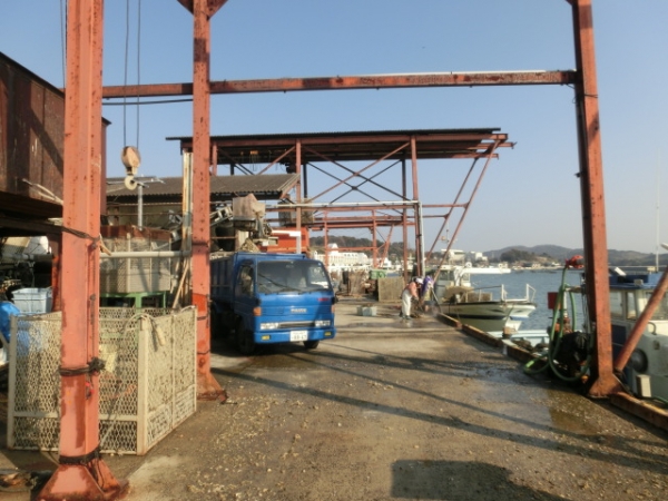 牡蠣の出荷も今日が最終日