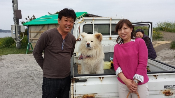 ぶさかわいいで有名な『わさお』何と鯵ヶ崎の住民票を取得