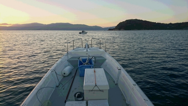 前島の鯛釣り