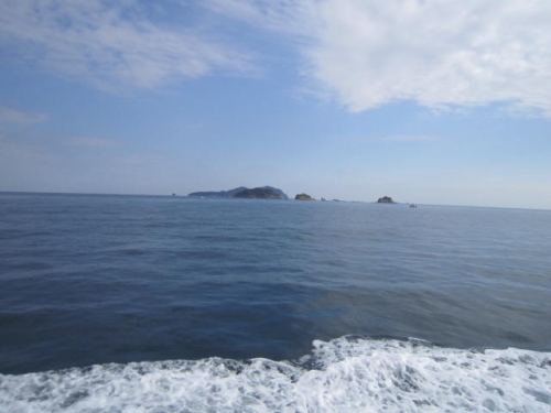 徳島のハワイ！