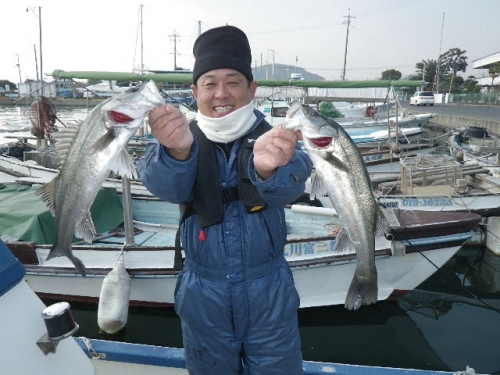 私の釣果　スズキ