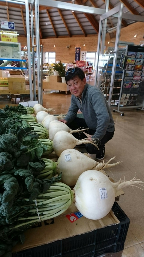 ご存知桜島大根、荷物になるので買いませんでした