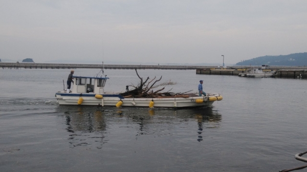 流木を積載した漁船