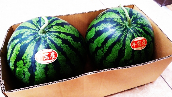 一個1500円、見るからに美味しそう
