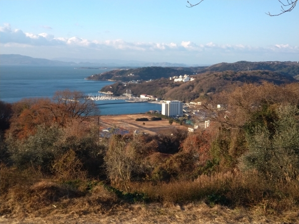 ウォーキングは週６で頑張ります