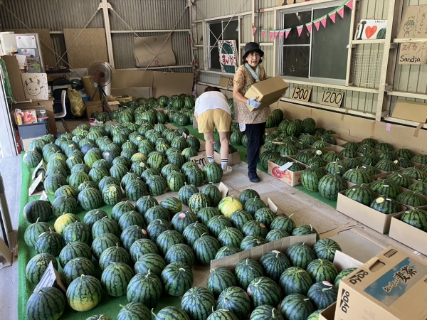 朝一行けば色々選べる