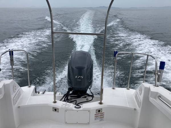 YFR24EX、23kt/3200rpm