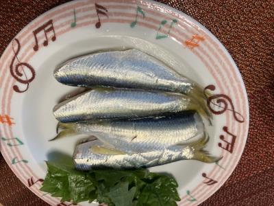 ママカリの酢漬け完成