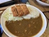 カツ二切れ食べた後撮影(苦笑)