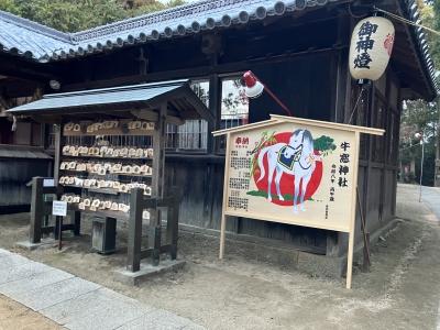 今年の干支は午