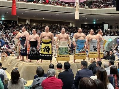 幕内力士の土俵入