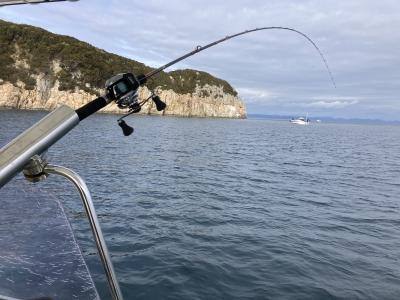 小豆島金ケ崎のポイント