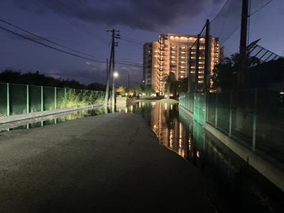 マンション前の道路もご覧の通り
