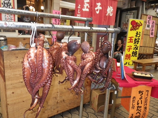 『明石のタコは立って歩く』だから足が太い！