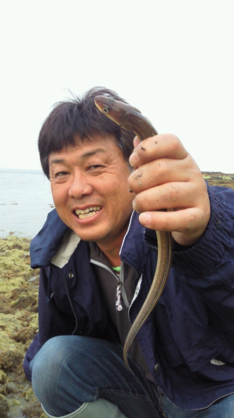 アオサの下からアナゴが…他に砂の中からベラも…