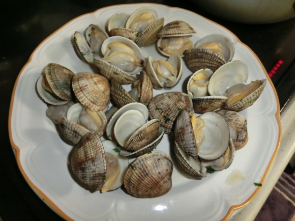 【おまけ】先日掘ったアラメの酒蒸