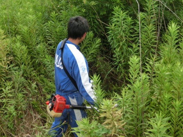 この人船より草刈り機の運転が上手い？（笑）