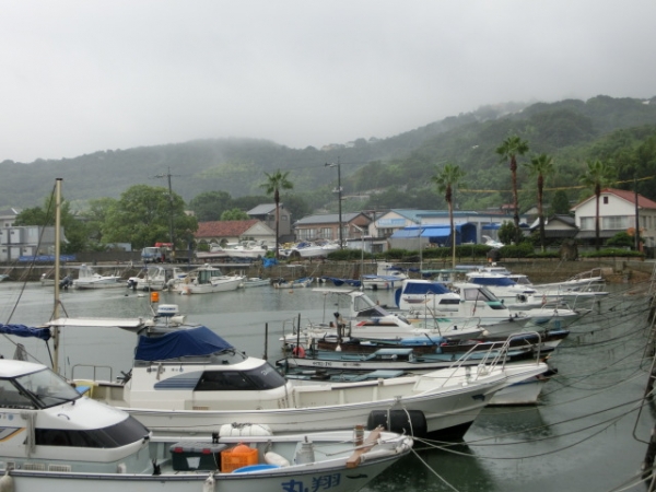 北　オリーブ園方面