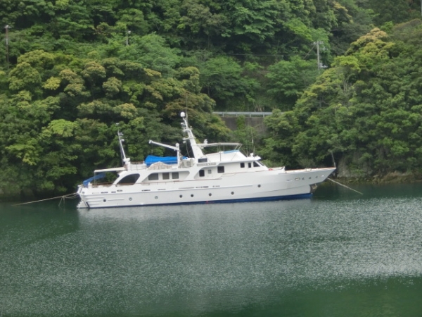 加山雄三の依頼で光進丸三世を査定←冗談ですよ～