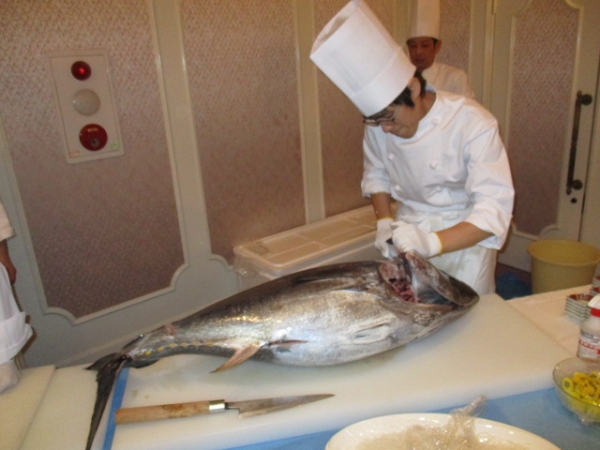 よく脂ののったこのマグロ近大養殖場の卒業証書貼られていました
