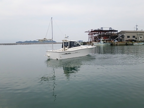 海上で頭を左右に振るテストを繰り返します