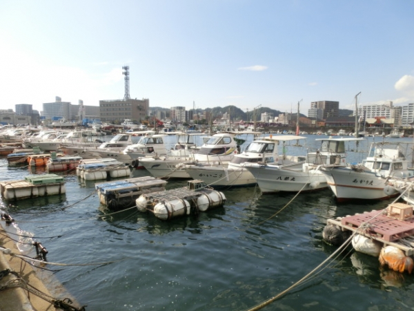 鹿児島弾丸査定！