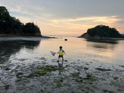 ヤドカリ獲り中