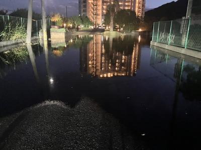 幻想的な光景ではありますが…
